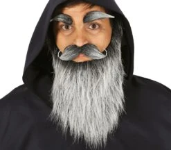 Grijze Baard Met Snor En Wenkbrauwen