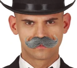 Grijze Gentleman Snor