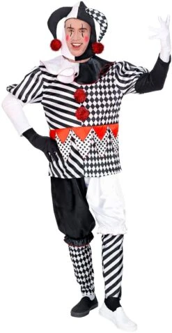 Harlekijn Carnaval Kostuum -Halloween-Kostuums harlekijn carnaval kostuum 1