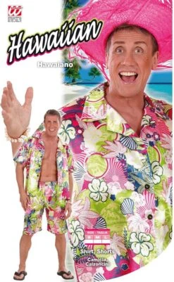Hawaii Kleding -Halloween-Kostuums hawaii kleding 3