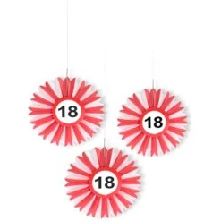 Honingraat Waaiers Verkeersbord 18 Jaar -Halloween-Kostuums honingraat waaiers verkeersbord 18 jaar 1