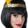 Hoofdband Goud Pailletten -Halloween-Kostuums hoofdband goud pailletten 0