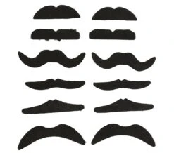 Set Van 12 Zwarte Plaksnorren