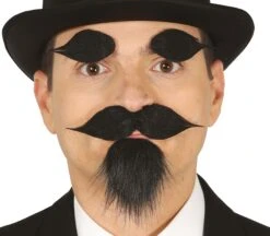 Spaanse Snor Met Sik En Wenkbrauwen