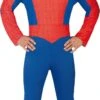 Spiderman Pakje Budget -Halloween-Kostuums spiderman pakje budget 0