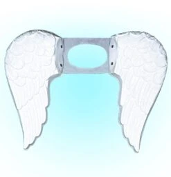 Witte Meisjes Engel Vleugels