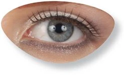 Zwarte Spitse Wimpers -Halloween-Kostuums zwarte spitse wimpers 2